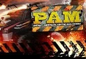 Post Apocalyptic Mayhem Steam CD Key — лицензионный ключ