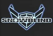 Project Snowblind PC Steam CD Key — лицензионный ключ