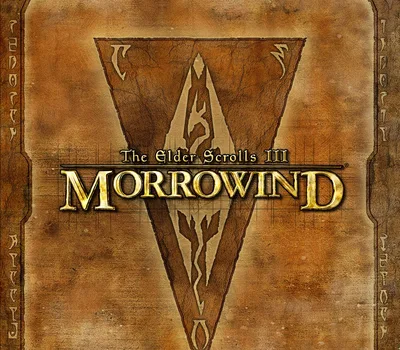 The Elder Scrolls III Morrowind GOTY Steam CD Key — лицензионный ключ