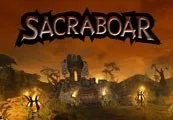 Sacraboar Steam CD Key — лицензионный ключ