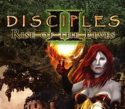 Disciples II: Rise of the Elves PC Steam CD Key — лицензионный ключ