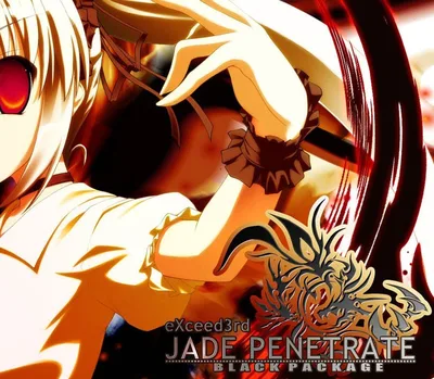 eXceed 3rd - Jade Penetrate Black Package Steam CD Key — лицензионный ключ