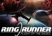 Ring Runner: Flight of the Sages Steam CD Key — лицензионный ключ