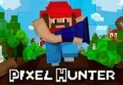 Pixel Hunter Steam CD Key — лицензионный ключ