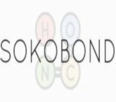 Sokobond PC Steam CD Key — лицензионный ключ