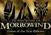 The Elder Scrolls III Morrowind GOTY EU Steam CD Key — лицензионный ключ