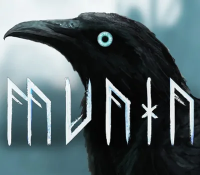 Munin PC Steam CD Key — лицензионный ключ