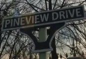 Pineview Drive Steam CD Key — лицензионный ключ