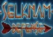 Selknam Defense 2-Pack Steam CD Key — лицензионный ключ