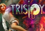 Tristoy 2-Pack Steam CD Key — лицензионный ключ