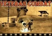 Veteran Combat Steam CD Key — лицензионный ключ