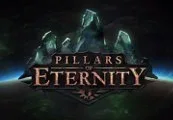 Pillars of Eternity Hero Edition EU Steam CD Key — лицензионный ключ