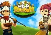 Wild Season Steam CD Key — лицензионный ключ