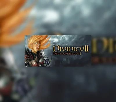 Divinity II: Developer's Cut GOG CD Key — лицензионный ключ