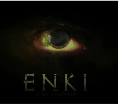 Enki Steam CD Key — лицензионный ключ