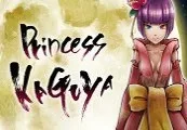 Princess Kaguya: Legend of the Moon Warrior Steam CD Key — лицензионный ключ