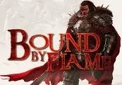 Bound By Flame PL Language Only Steam CD Key — лицензионный ключ
