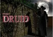 Project Druid - 2D Labyrinth Explorer- Steam CD Key — лицензионный ключ