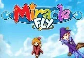 Miracle Fly Steam CD Key — лицензионный ключ