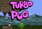 Turbo Pug Steam CD Key — лицензионный ключ