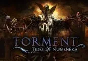 Torment: Tides of Numenera PC Steam CD Key — лицензионный ключ