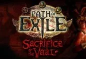 Path of Exile - Arctic Crown + Cobra Pet CD Key — лицензионный ключ