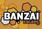 Banzai Escape Steam CD Key — лицензионный ключ