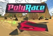 PolyRace Steam CD Key — лицензионный ключ