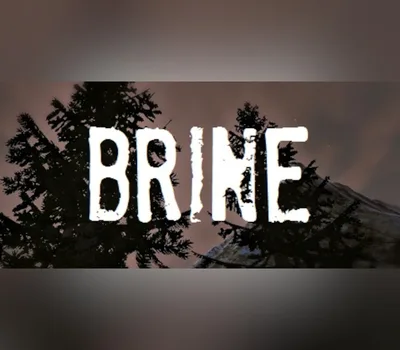 Brine PC Steam CD Key — лицензионный ключ