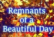 Remnants of a Beautiful Day Steam CD Key — лицензионный ключ