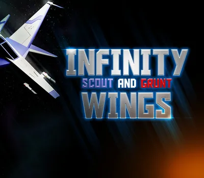 Infinity Wings - Scout & Grunt Steam CD Key — лицензионный ключ