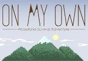 On My Own Steam CD Key — лицензионный ключ