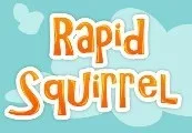 Rapid Squirrel Steam CD Key — лицензионный ключ