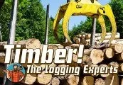 Timber! The Logging Experts Steam CD Key — лицензионный ключ