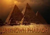 Unknown Pharaoh Steam CD Key — лицензионный ключ