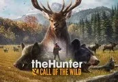 theHunter: Call of the Wild EU Steam CD Key — лицензионный ключ