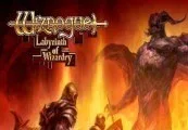 Wizrogue - Labyrinth of Wizardry Steam CD Key — лицензионный ключ