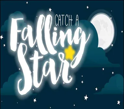 Catch a Falling Star PC Steam CD Key — лицензионный ключ