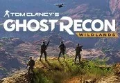 Tom Clancy's Ghost Recon Wildlands EMEA Ubisoft Connect CD Key — лицензионный ключ