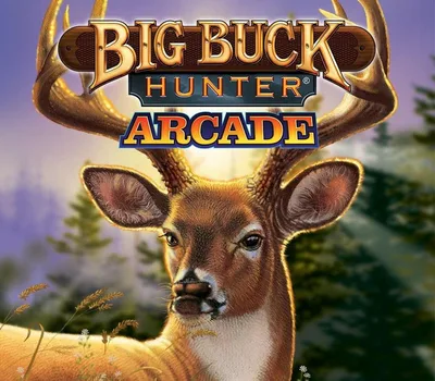 Big Buck Hunter Arcade Steam CD Key — лицензионный ключ