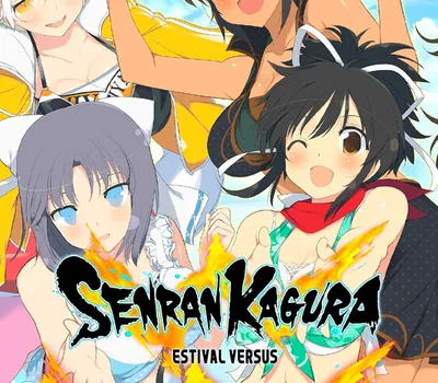 Senran Kagura Estival Versus Steam CD Key — лицензионный ключ