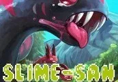 Slime-san: Sheeple’s Sequel Steam CD Key — лицензионный ключ