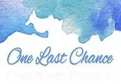 One Last Chance Deluxe Edition Steam CD Key — лицензионный ключ