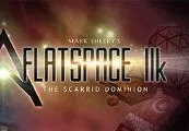 Flatspace IIk Steam CD Key — лицензионный ключ