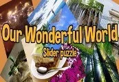 Our Wonderful World Steam CD Key — лицензионный ключ