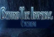 Beyond the Invisible: Evening Steam CD Key — лицензионный ключ