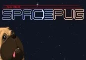 Super Space Pug Steam CD Key — лицензионный ключ