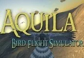 Aquila Bird Flight Simulator Steam CD Key — лицензионный ключ