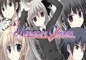 Miniature Garden Steam CD Key — лицензионный ключ