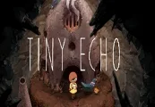 Tiny Echo Steam CD Key — лицензионный ключ